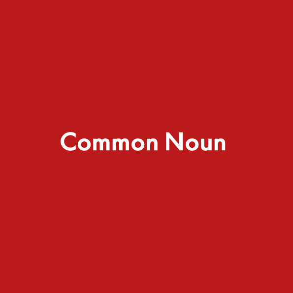 NEW ITEM – Common Noun