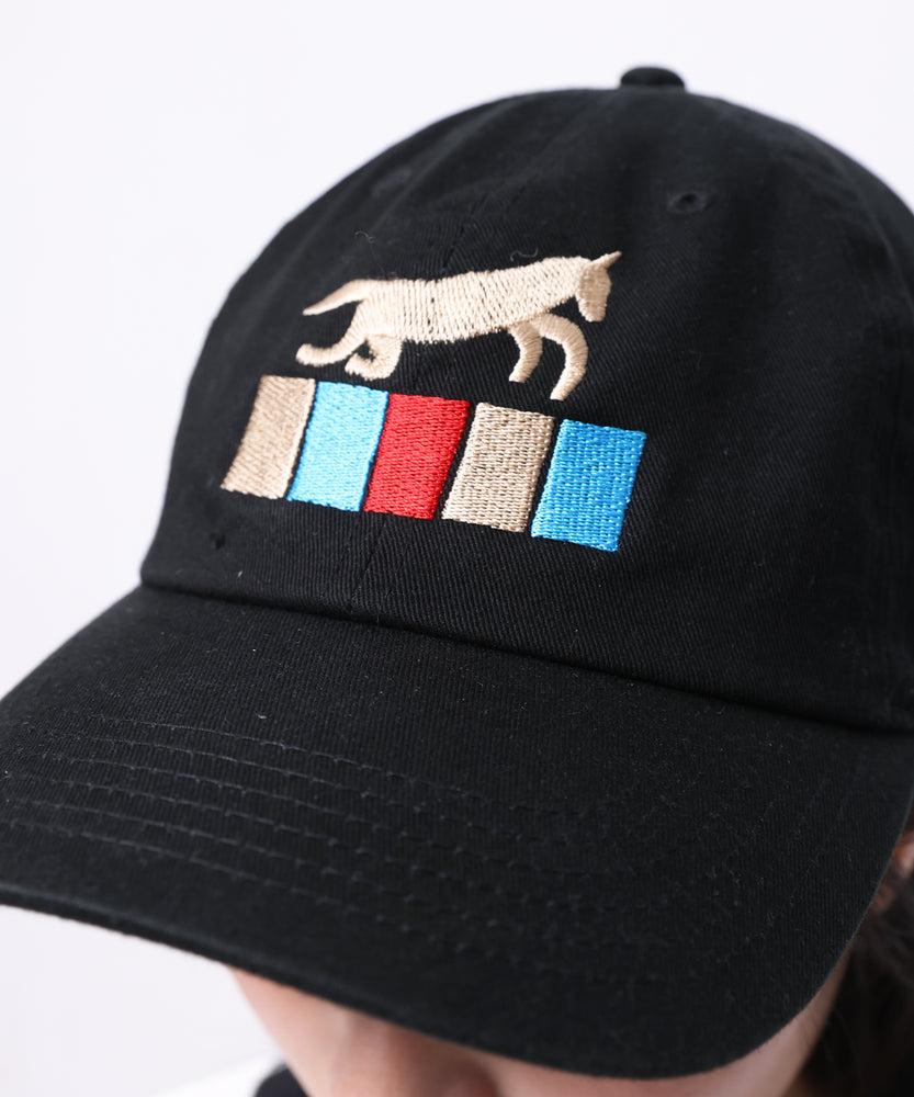 "HORSE" norahi color刺繍キャップ