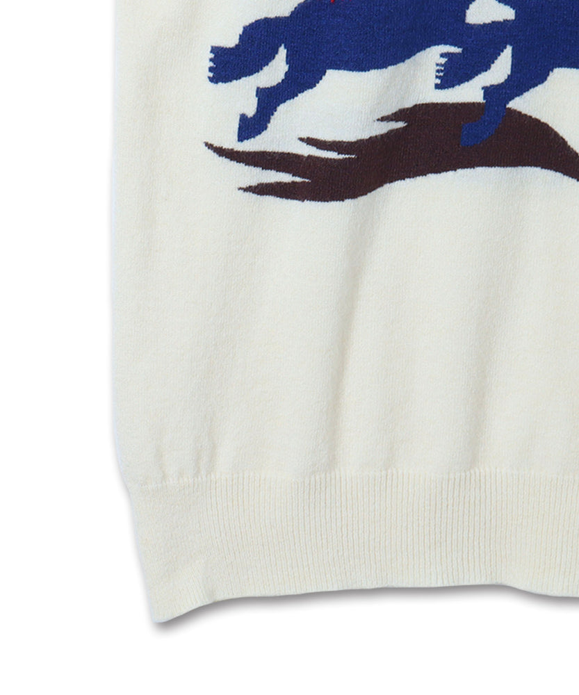 "SPORTS" NOI ニットポロ