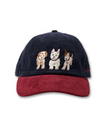 【先行受注】"CAT"＆"DOG" norahi キャップ(DOG)