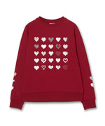 Sweat Shirt – Common Noun