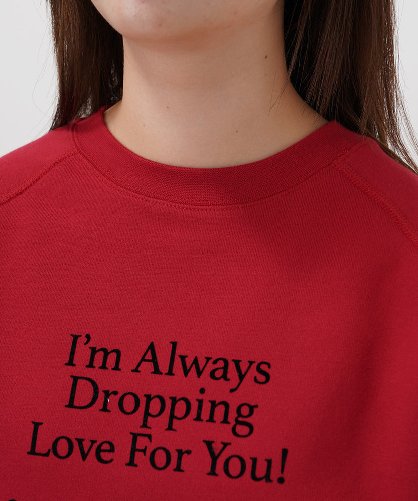 "CAT"＆"DOG" Midori Nakajima 裏起毛ラグランクルースウェット